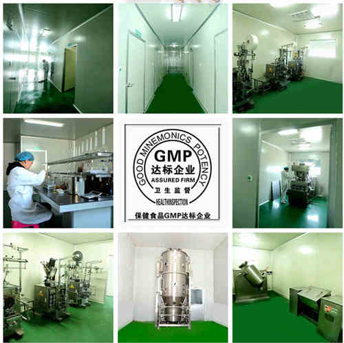 GMP車間以及生產設備圖片-德州健之源